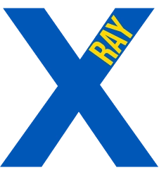 нагорода X-RAY award